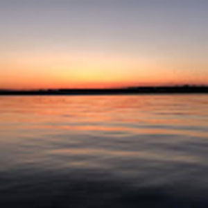 Meet your Posher, Madyn